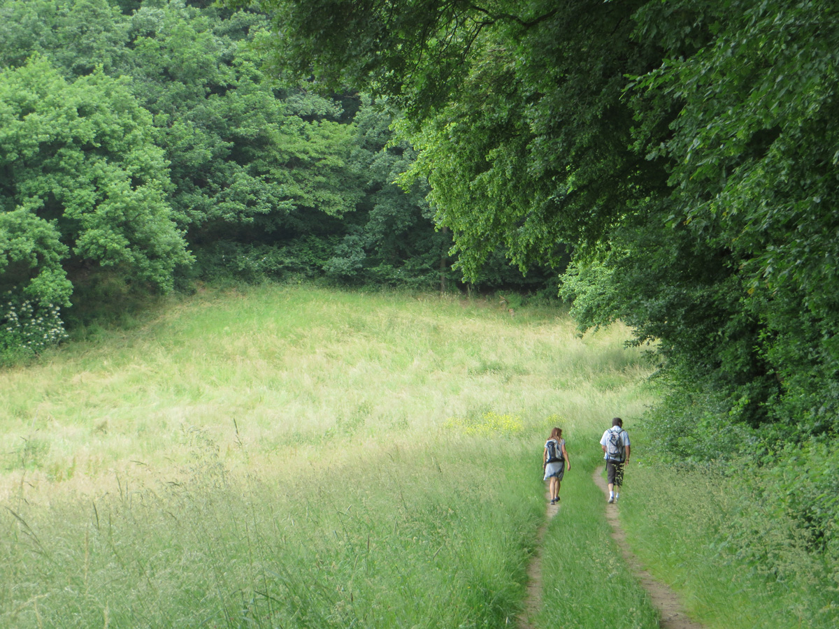 Wandern Traumpfad Hoehlen und Schluchtenpfad 1200