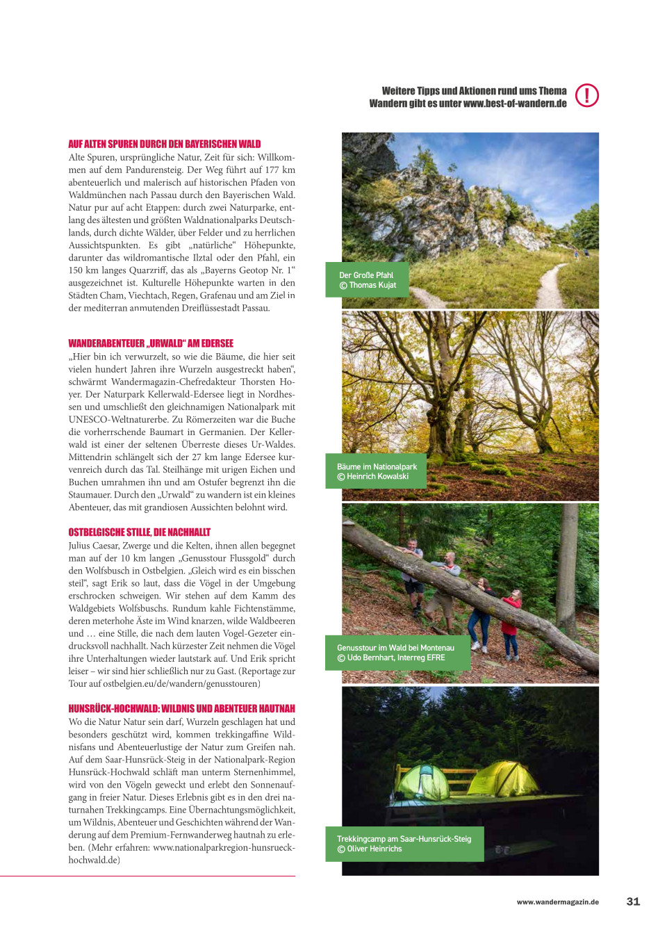 BoW Wurzel WaMa 223 k2 2