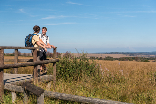 Hohes Venn Wandern Signal de Botrange 03ceastbelgiumcom