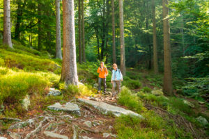 Ternell Wandern 10ceastbelgiumcom