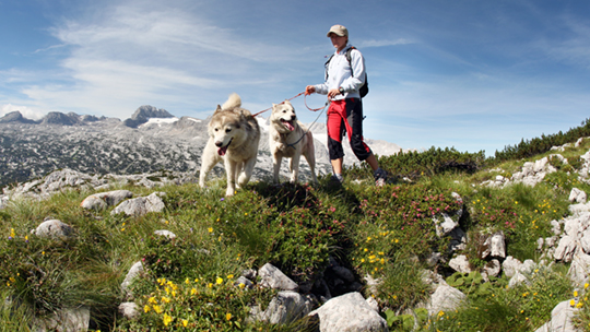 dachstein5
