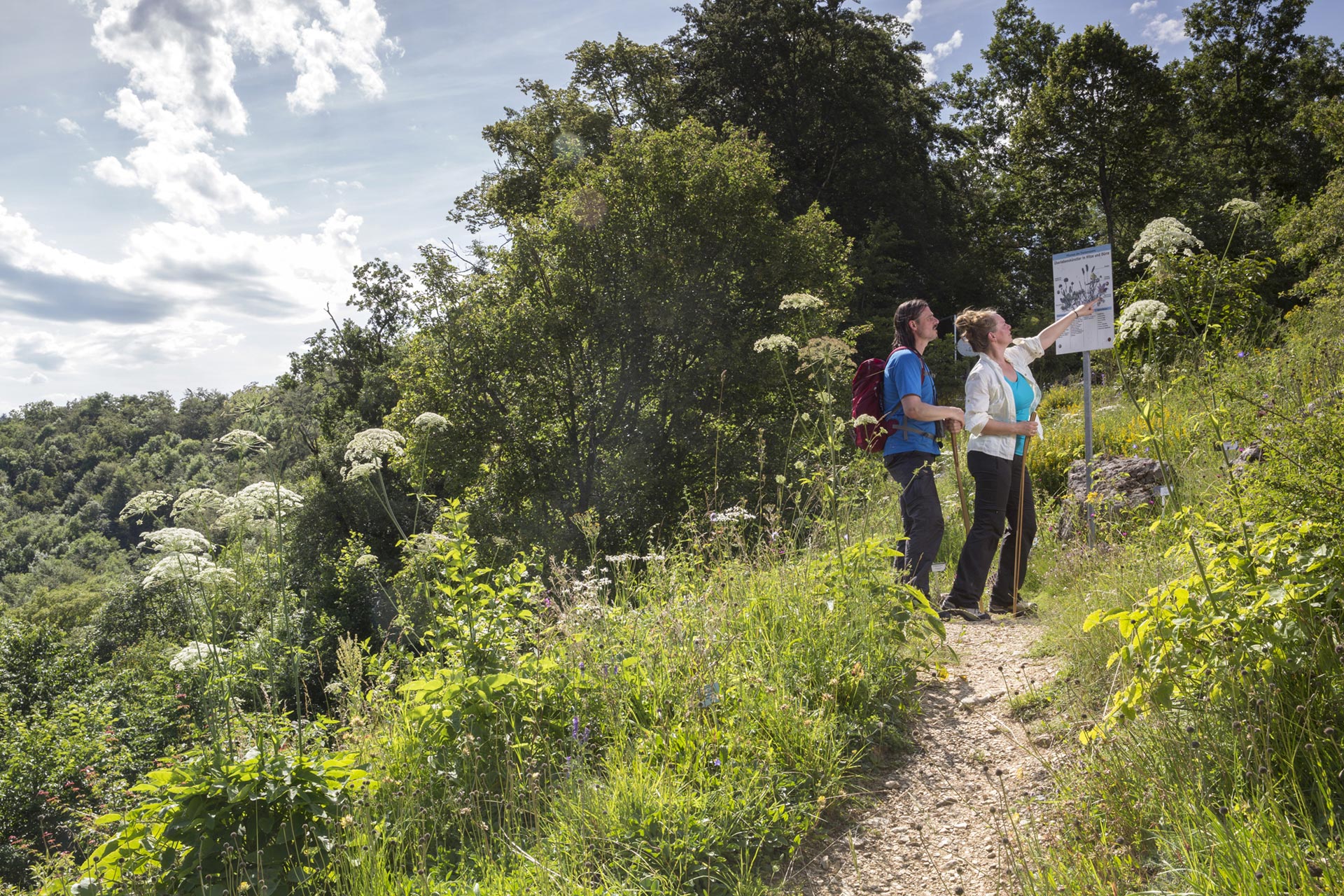 Eichfelsen Panorama3 Bild Donaubergland GmbH Fotograf Thomas Bichler