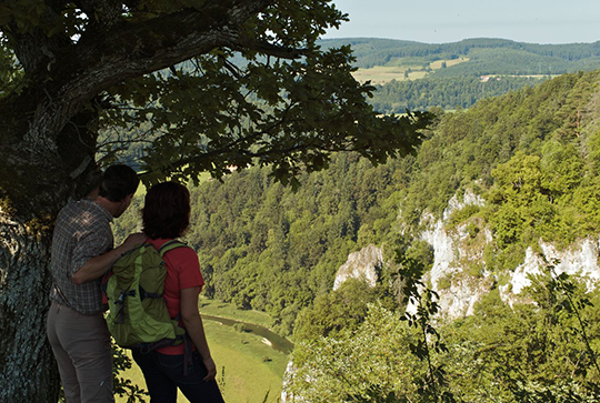 Donaubergland Donauwellen 1 Fridingen