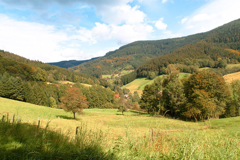 Wiesensteig Tal der Wilden Rench c KTG 0476