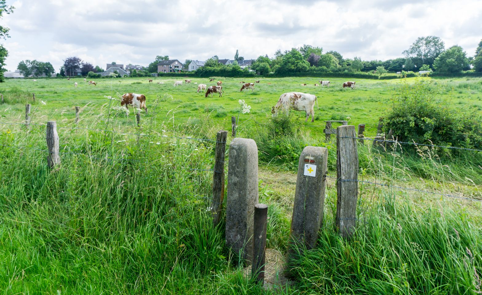 Eynatten-nach-Eupen-03.jpg