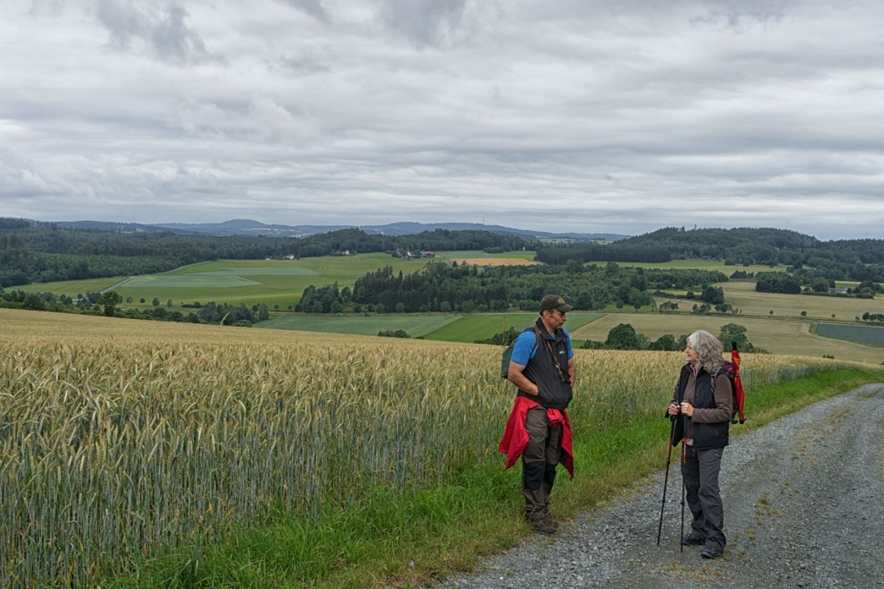 Blick nach vorne