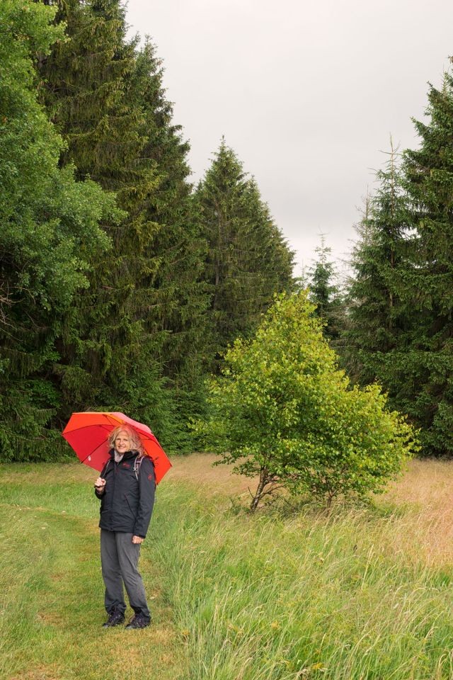 Wiesen-Panoramaweg