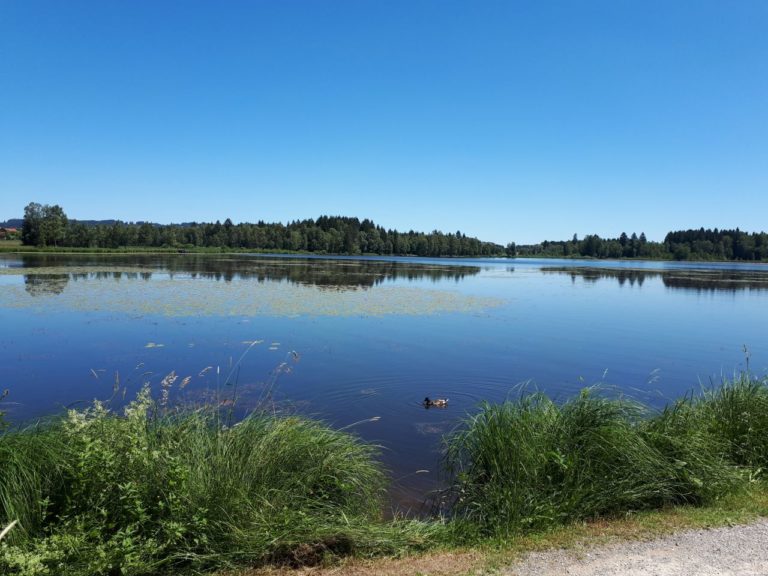 20190628_121406.jpg