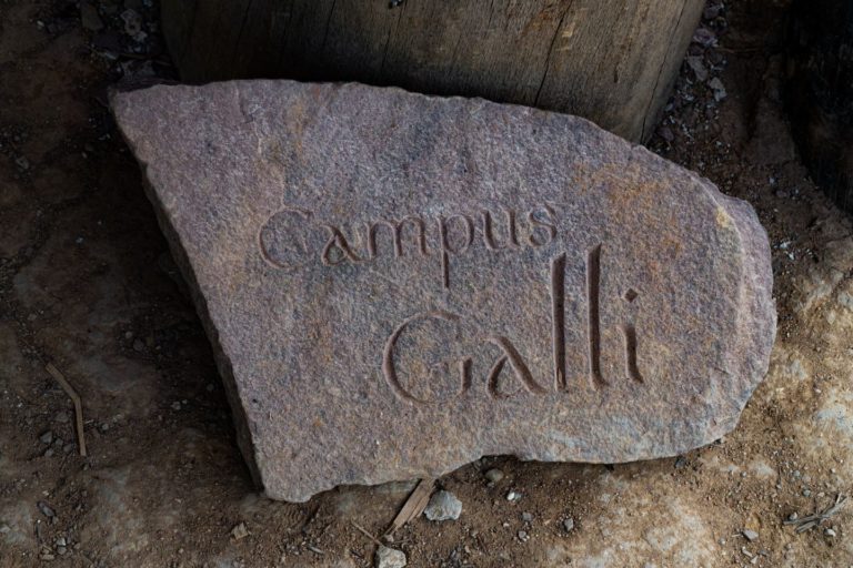 DSD08195.jpg
