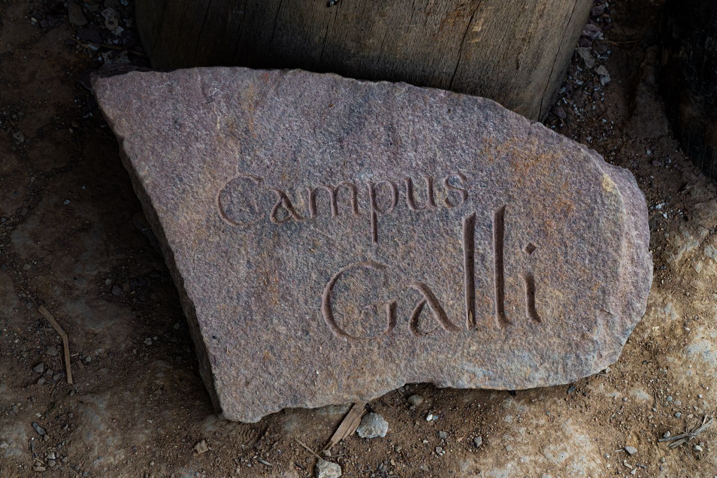 DSD08195.jpg