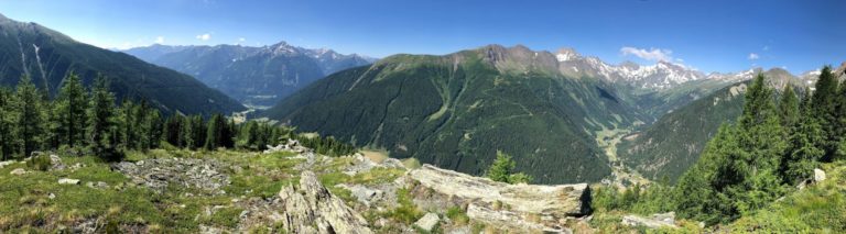 IMG_123_20190628-195823_1.jpg