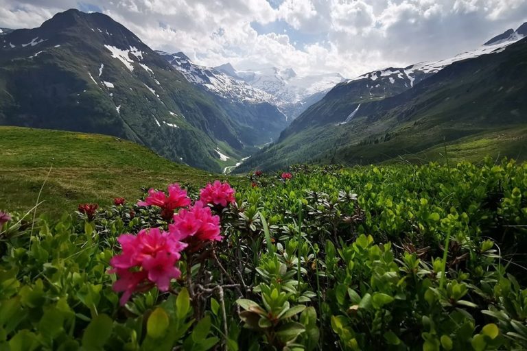 Osttirol-Tag-1-19.jpg