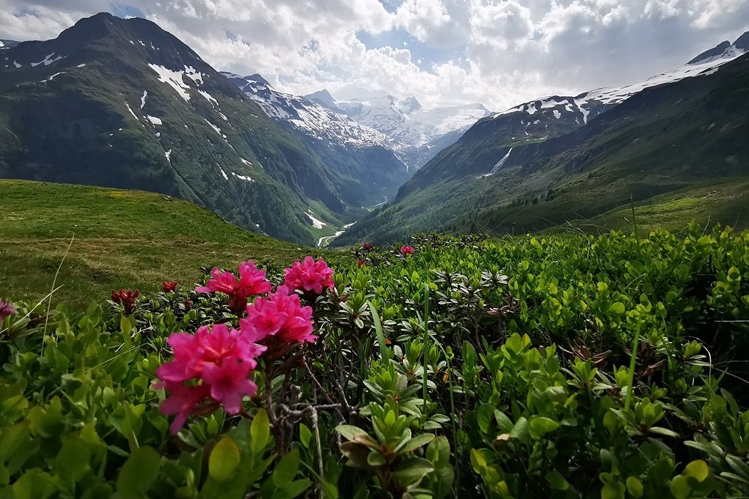 Osttirol-Tag-1-19.jpg