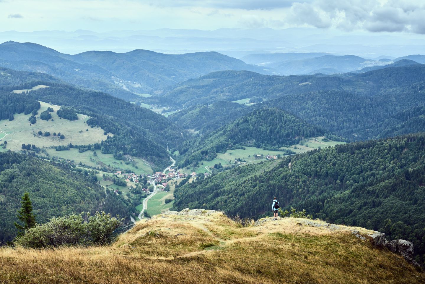 Frank-Maier-03.jpg
