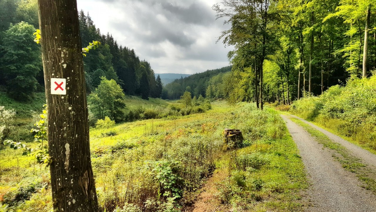 Hinunter Richtung Hafenlohrtal