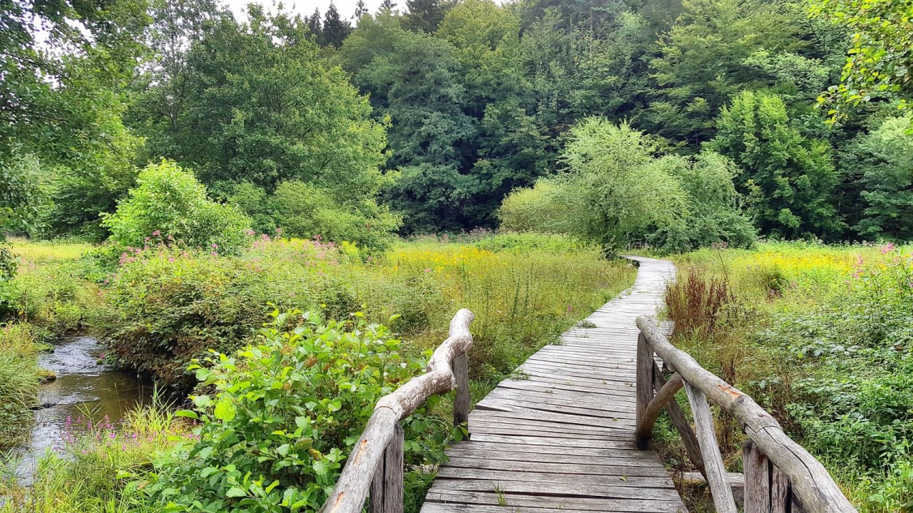 Bohlensteg im Hafenlohrtal