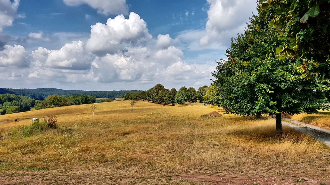Panoramaweg Rothenbuch
