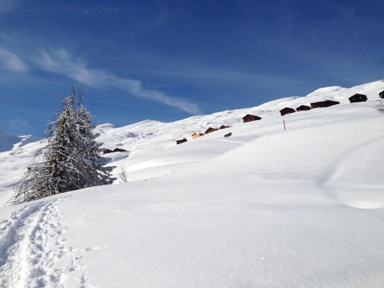 Schneeschuhplausch-Safiental.jpg