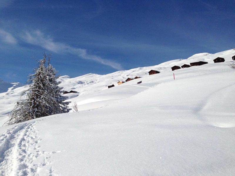 Schneeschuhplausch-Safiental.jpg