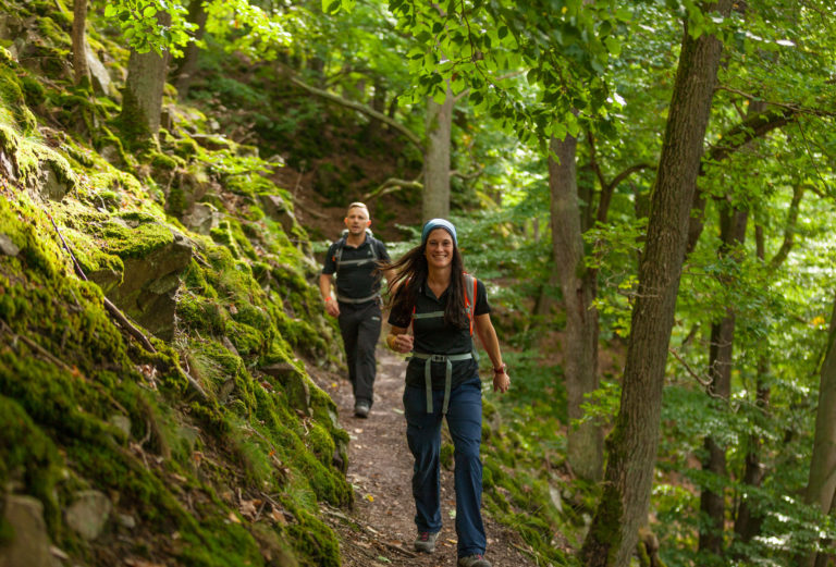 Wandern auf dem Urwaldsteig Copyright Markus Balkow