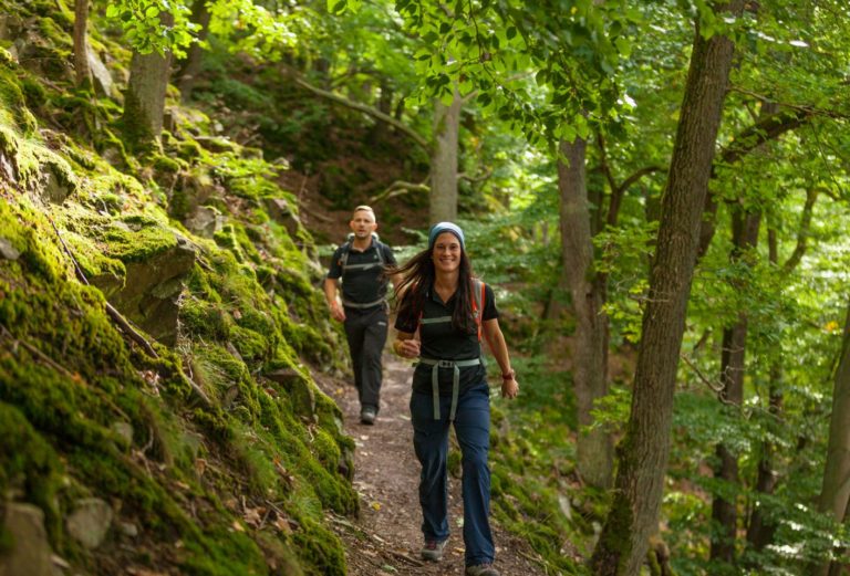 Wandern-Urwaldsteig_Markus-Balkow.jpg