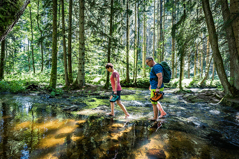 Flusswandern