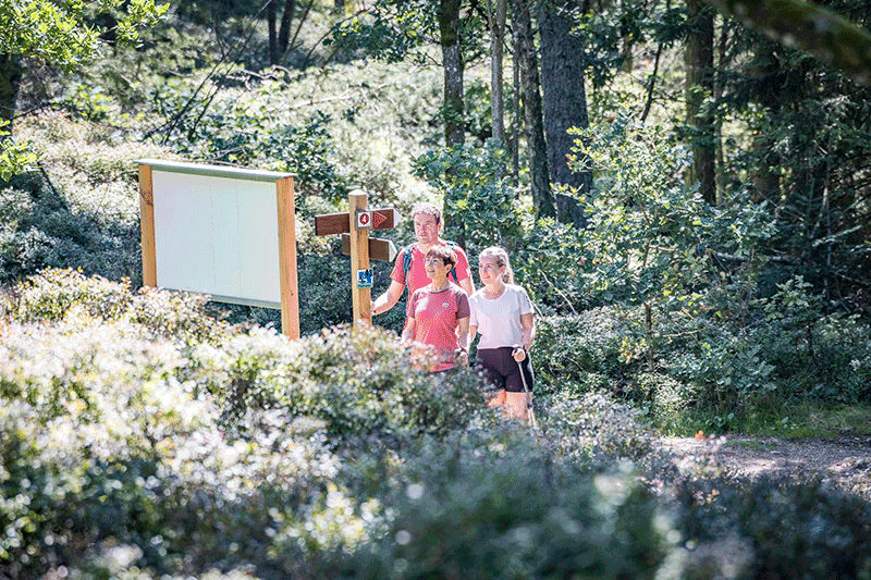 Bayerischer Wald Grosser Pfahl Thomas Kujat 1
