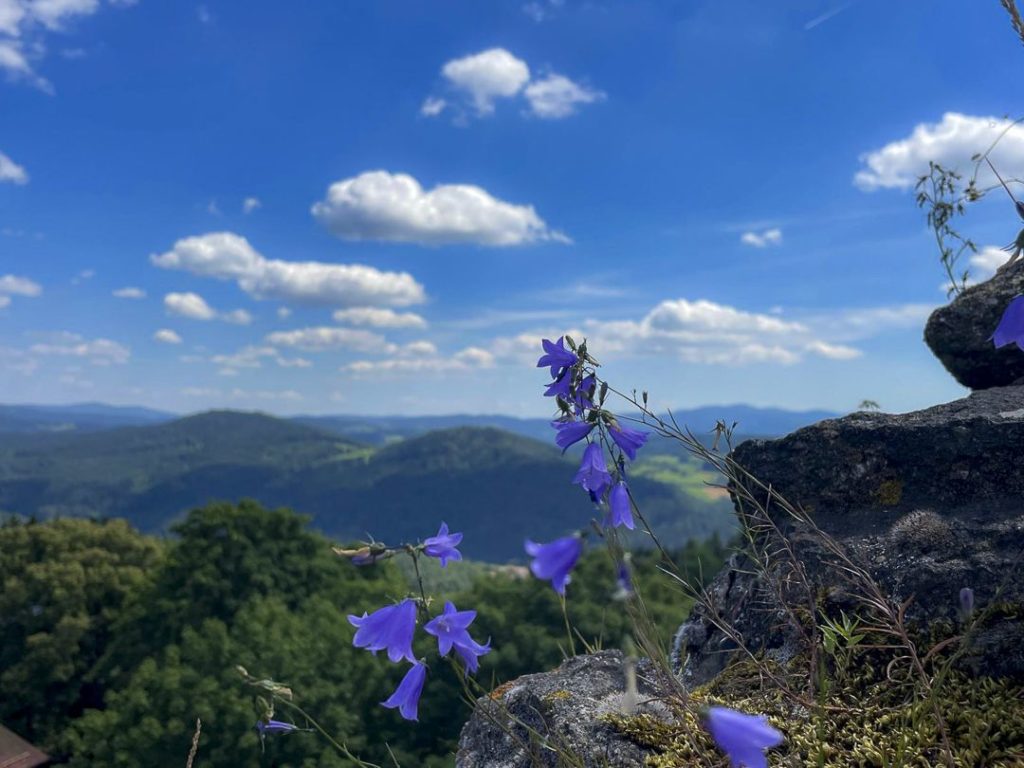 BoW_Arberland_Tag34-36.jpg