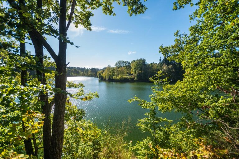 See von Robertville in Ostbelgien, Blick aufs Wasser durch grüne Bäume hindurch